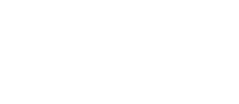 payless logo white